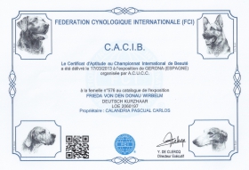C.A.C.I.B Federación Cinológina Internacional, Girona Abril 2013
